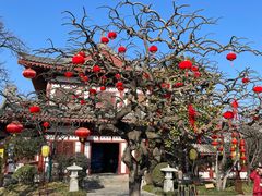 -华清宫景区