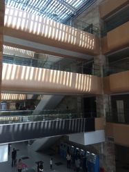 -福建省妇幼保健院(道山路院区)