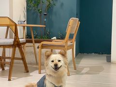 -Oasis coffee燕谷咖啡(公信店)