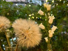 -花二家·生活馆(六运小区店)