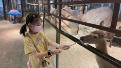 -酷嗒动物文化乐园(cutezoo西溪乐天城店)