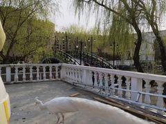 -J Create城市露营咖啡·简餐·宠物(上海动物园店)