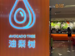 -油梨树 AVOCADO TREE(亮马桥店)