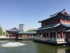 -雁滩公园