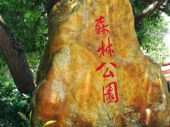-广州市流溪河国家森林公园