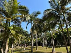 -中国科学院西双版纳热带植物园