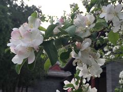 -螺丰汇柳州螺蛳粉(苹果园地铁站F口店)