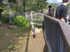 -上方山森林动物世界