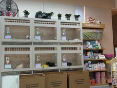 -唐小姐の私宠·宠物洗护美容·撸猫馆·购宠(周浦万达旗舰店)