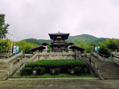 -大唐贡茶院