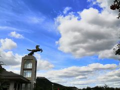 -龙口南山旅游景区