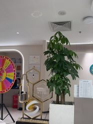 -北京楚诺医疗美容