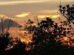 -福田红树林生态公园