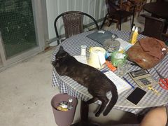 -鸿渡渔庄·特色鸭咀鱼