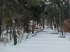 -威海华夏城景区