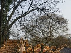 -岳麓山风景名胜区