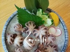 冰镇小八爪鱼-北海银滩·鉳海(星湖店)