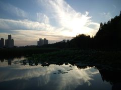 -前关湿地公园