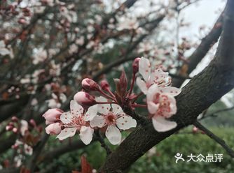 春天来了，去泉山文化公园走一走