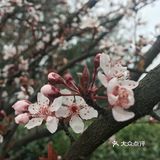 春天来了，去泉山文化公园走一走