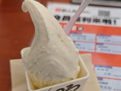 -野人先生Gelato(上海长宁龙之梦店)