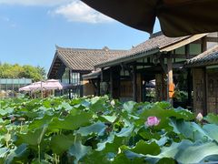 -莫催咖啡