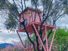 -福建鲤鱼洲酒店