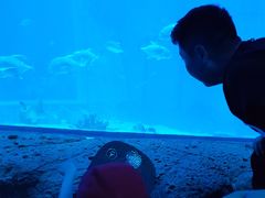 -南昌之星游乐场