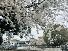 -川沙古镇-停车场