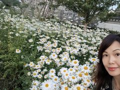 -普陀山慧济禅寺