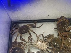 -加餐海鲜自助(宝龙一城店)