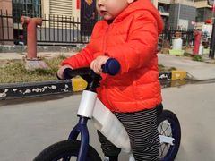 -稚马儿童平衡车自行车俱乐部