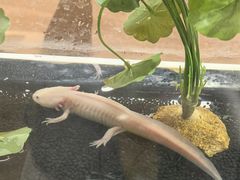 -上海昆虫博物馆