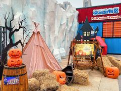 -海合安武汉极地海洋公园