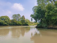 -西溪国家湿地公园