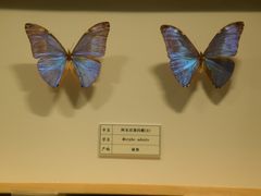 -四川宋瓷博物馆