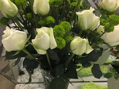 -白鹭湾湿地公园