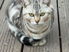 -东钱湖小普陀景区