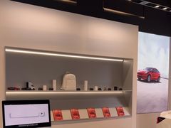 -TESLA 特斯拉(上海太古汇体验店)