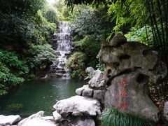 -十八棵（老龙井）御茶园(老龙井店)