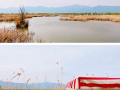 -野鸭湖国家湿地公园