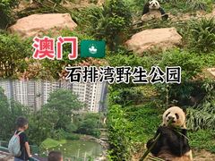 -石排湾郊野公园