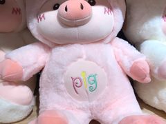 -布吉佳兆业广场