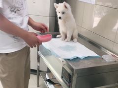 -申普宠物医院·眼科·心内科·影像科(普陀分院)