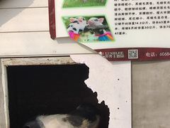 -北京鹿世界主题园