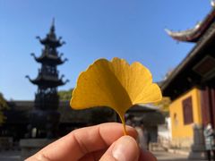 -西园戒幢律寺