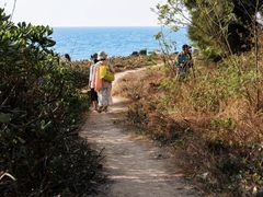 -汕尾风车岛