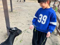 -盈香心动乐园