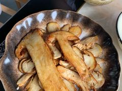 -蘑统田下·野生菌火锅