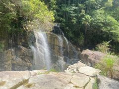 -大鄣山卧龙谷景区